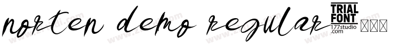 norten demo regular字体转换